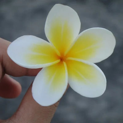 Sunny Bright Plumeria Seashore Flower Foam Hair Clips 3 Sizes Barrettes Hairwear Kids Women Hair Accessories