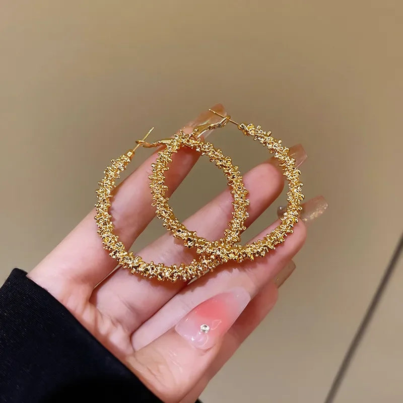 Minimalist  Metal Hoop Earring for Woman Trendy Round Circle Statement Earrings Brincos  Party Jewelry