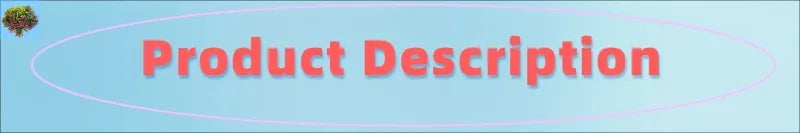 Popular Fashion Oval Women Luxury Sunglasses Retro Brand Designer Jelly Color Shades UV400 Men Rivets Sun Glasses