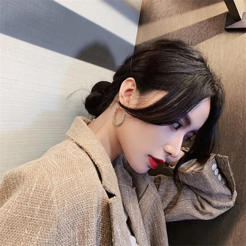 Minimalist  Metal Hoop Earring for Woman Trendy Round Circle Statement Earrings Brincos  Party Jewelry