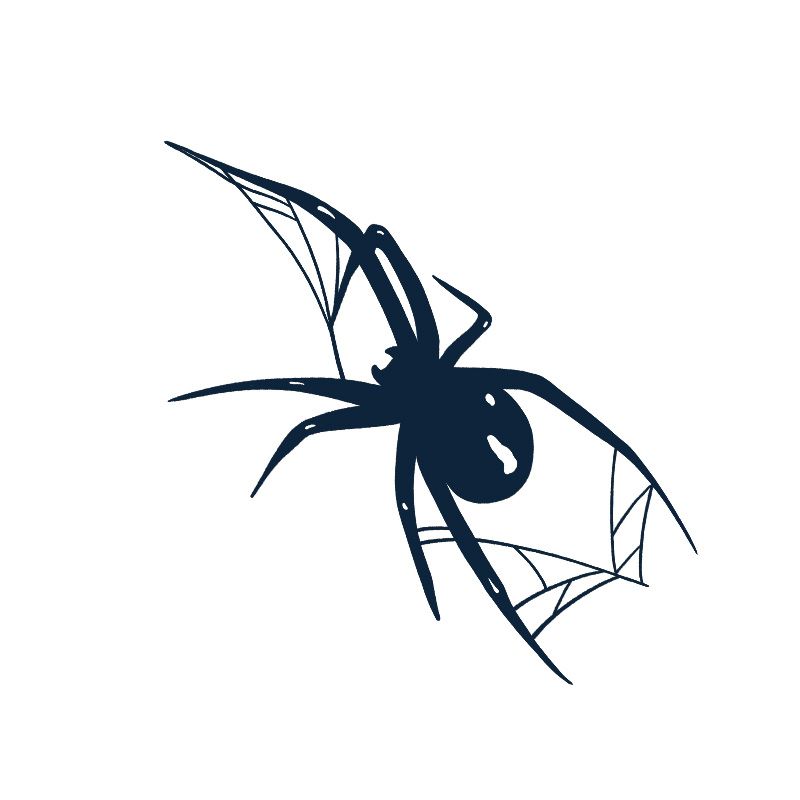 Sexy Tattoo Stickers for Woman Temporary Fake Goth Tattoos Waterproof Heart Tatto Lasting Spider Art Cool Herbal Juice Tattoo
