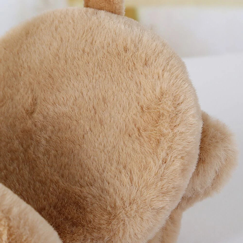 Winter Outdoor Star Smiley Face Plush Earmuffs Accessories Soft Thick Warm Ear Cover Solid Headphone Earlap for Boys Girls