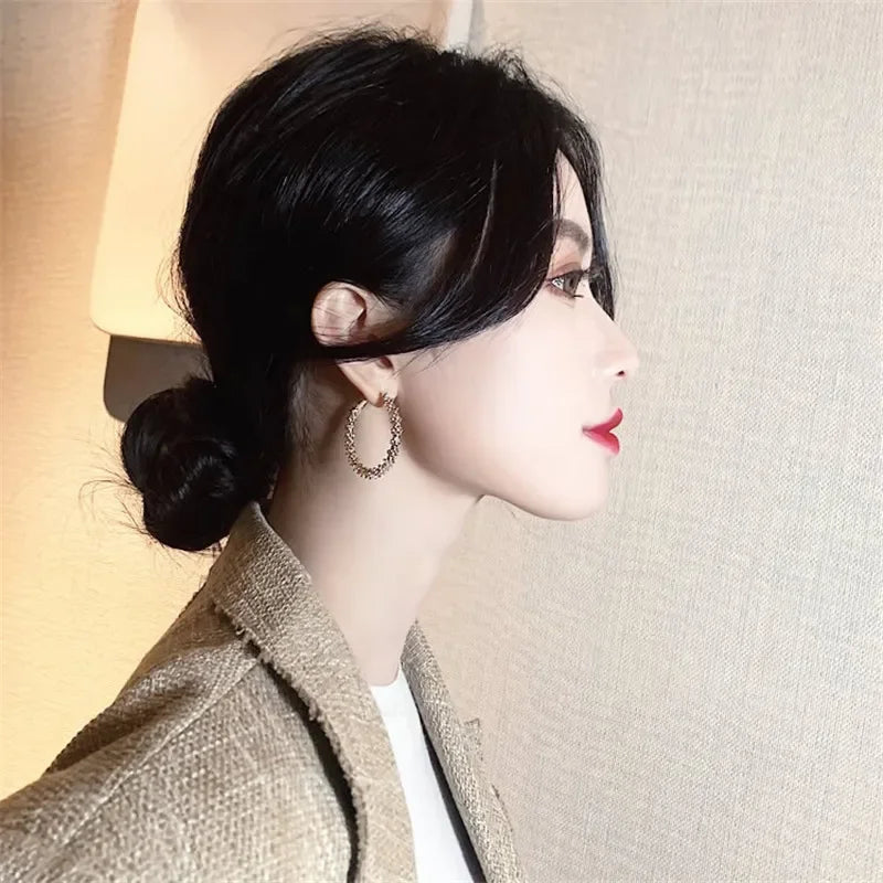 Minimalist  Metal Hoop Earring for Woman Trendy Round Circle Statement Earrings Brincos  Party Jewelry